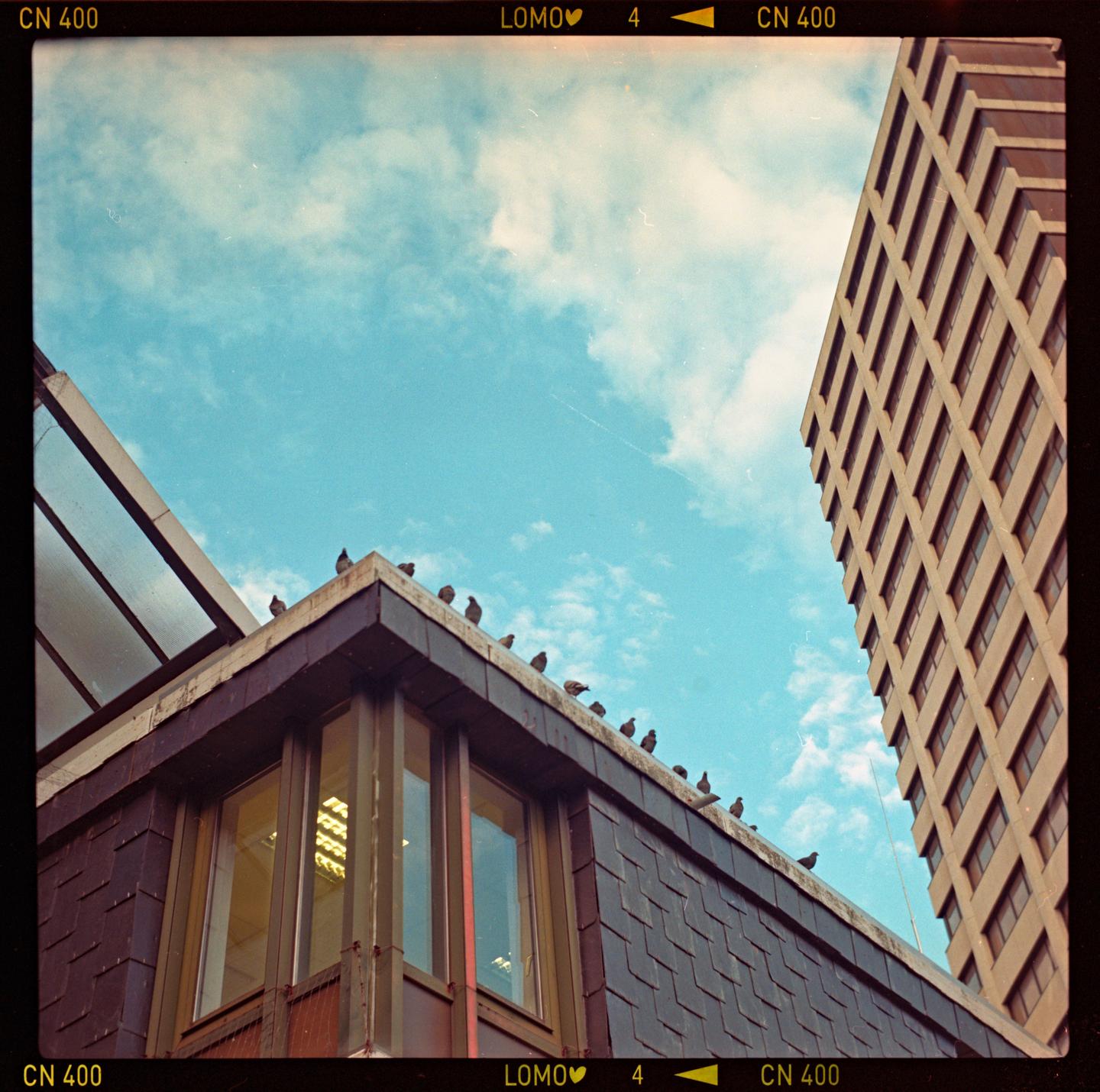 A flock of birds sits on the roof of a building with a tall building and a blue sky with clouds in the background.