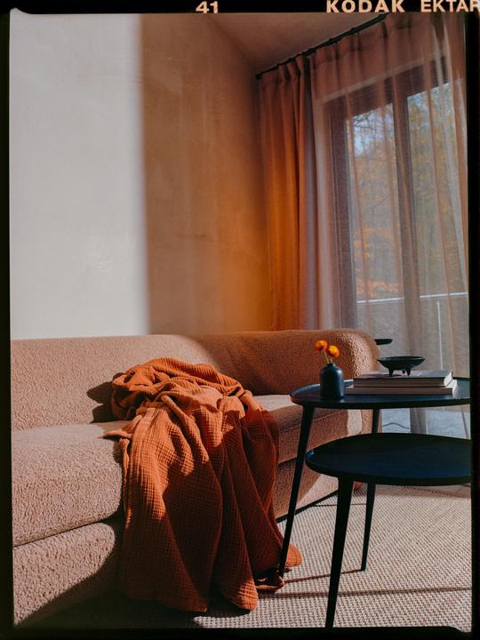 Sunlight streams into a room with a sofa, a blanket, and a small table with books and flowers.