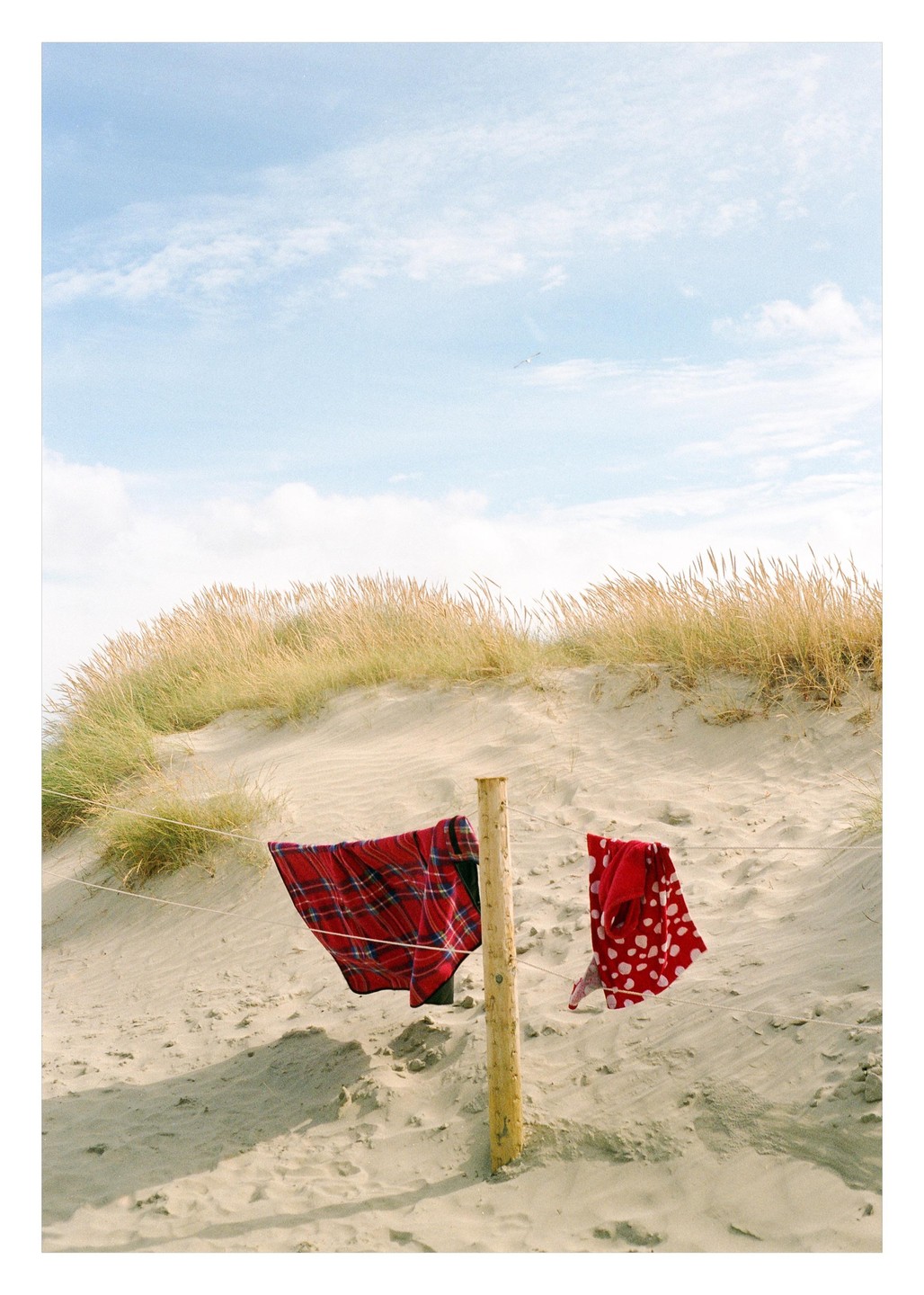 Two pieces of clothing hang on a clothesline in front of a sand dune with grass.
