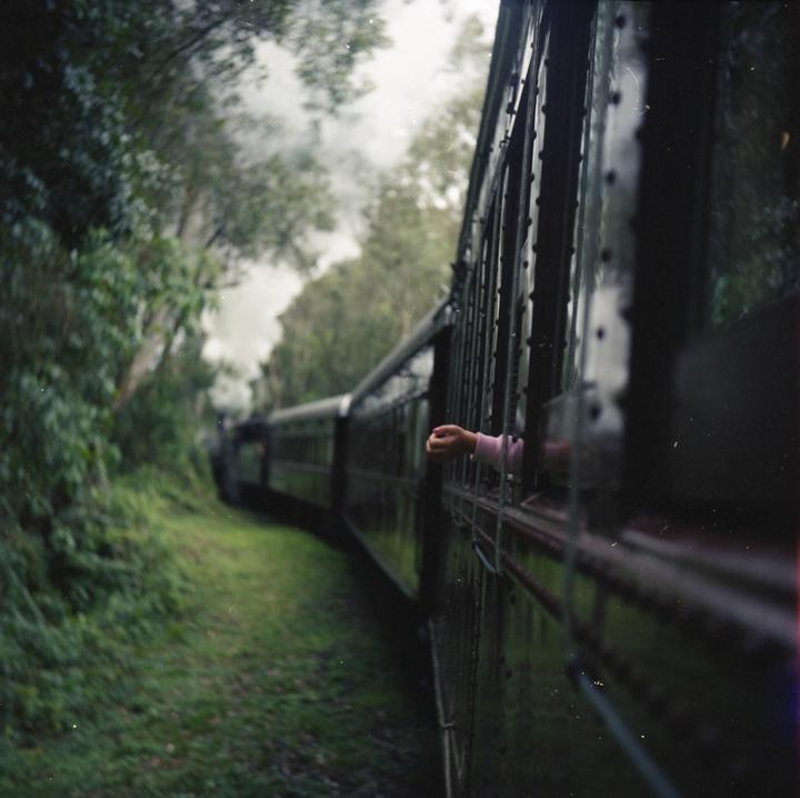 A hand reaches out of a train window as the train moves through a lush, green landscape.