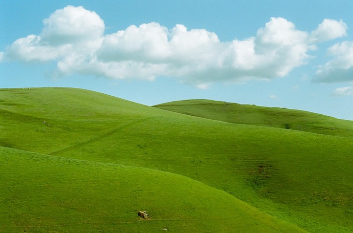 Rolling green hills are visible under a blue sky with white clouds.