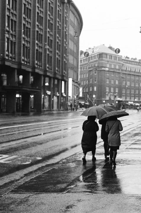 Three people with umbrellas walk away from the camera on a wet city street with large buildings on either side.