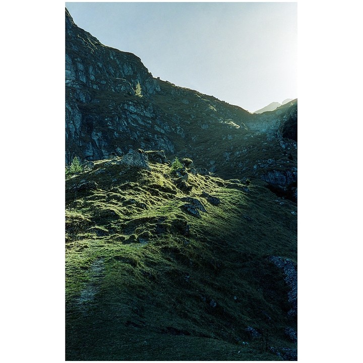 Sunlight illuminates a mossy mountain slope with a rocky peak in the background.