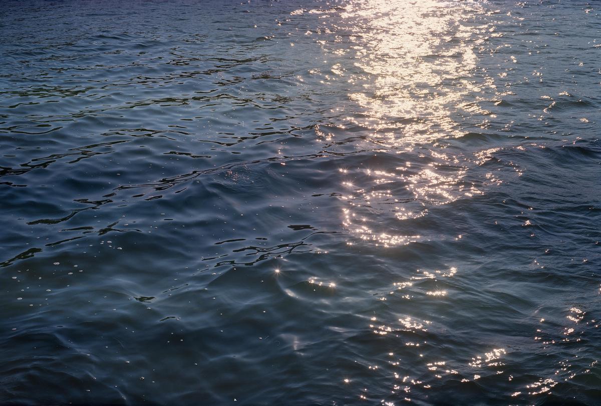 Sunlight reflects off the surface of rippling water.