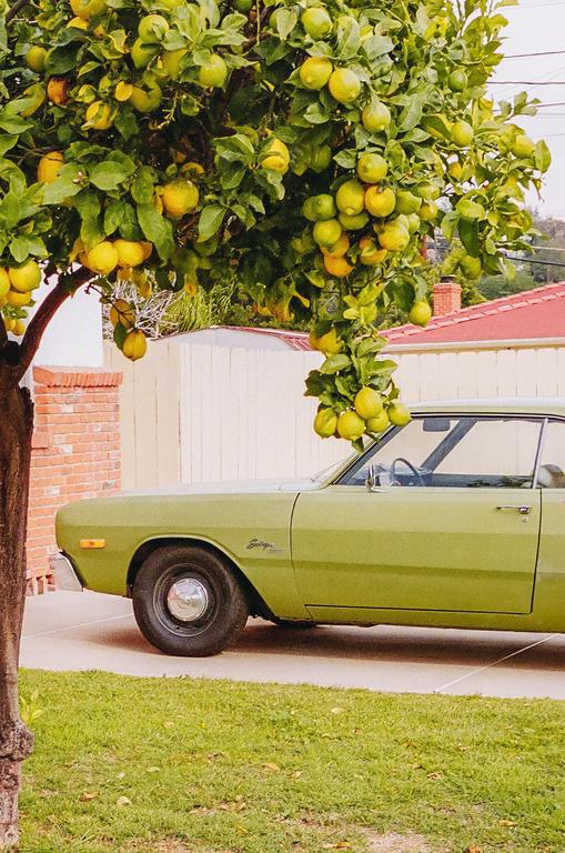 A green car is parked under a lemon tree laden with fruit.