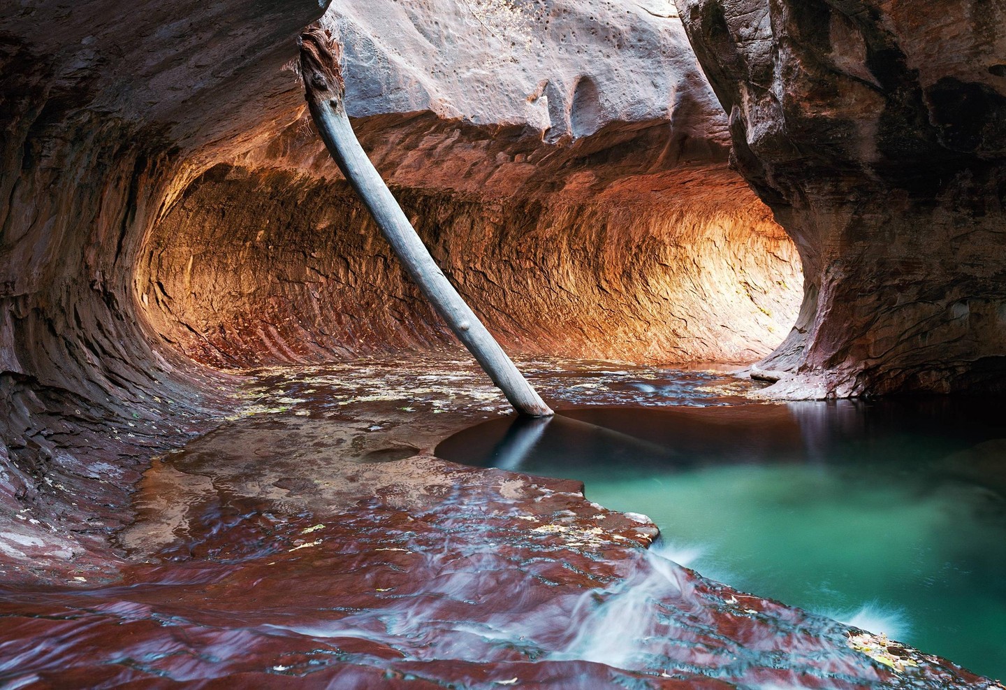 A large log leans into a pool of water in a slot canyon with light illuminating the far wall.