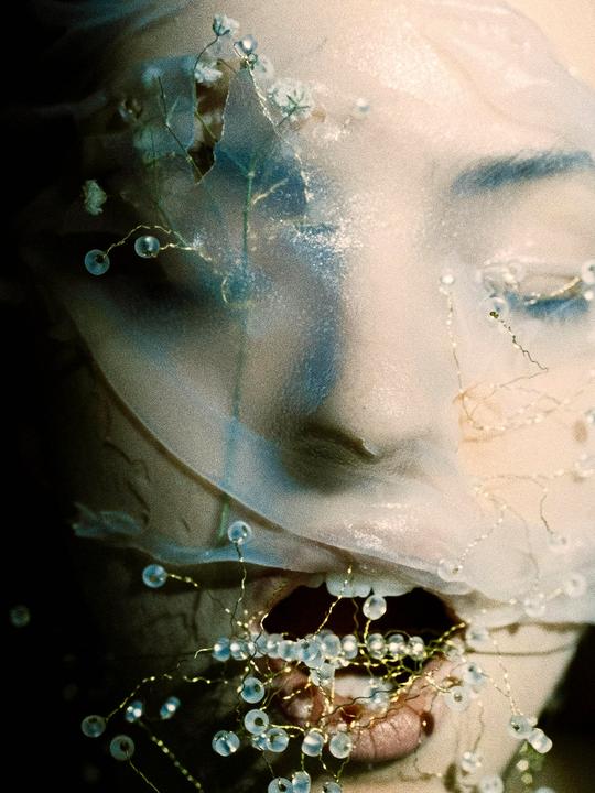 A woman's face is partially covered by a sheer, light-colored fabric adorned with small beads and delicate wire tendrils.