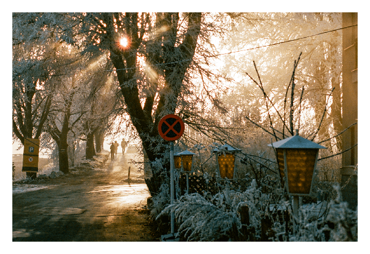 The sun shines through frost-covered trees along a road with people walking in the distance.
