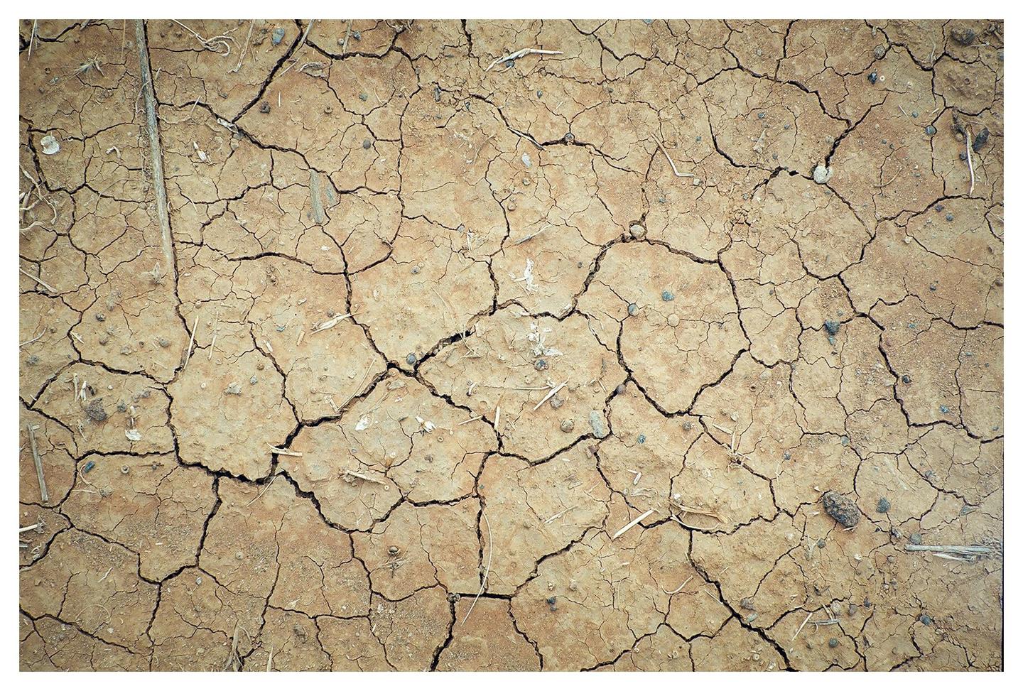 Cracked dry earth is covered in small rocks and debris.