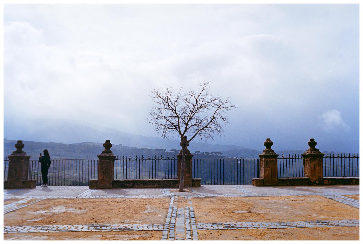 A person stands on a stone patio with a bare tree and a metal fence overlooking a valley under a cloudy sky.