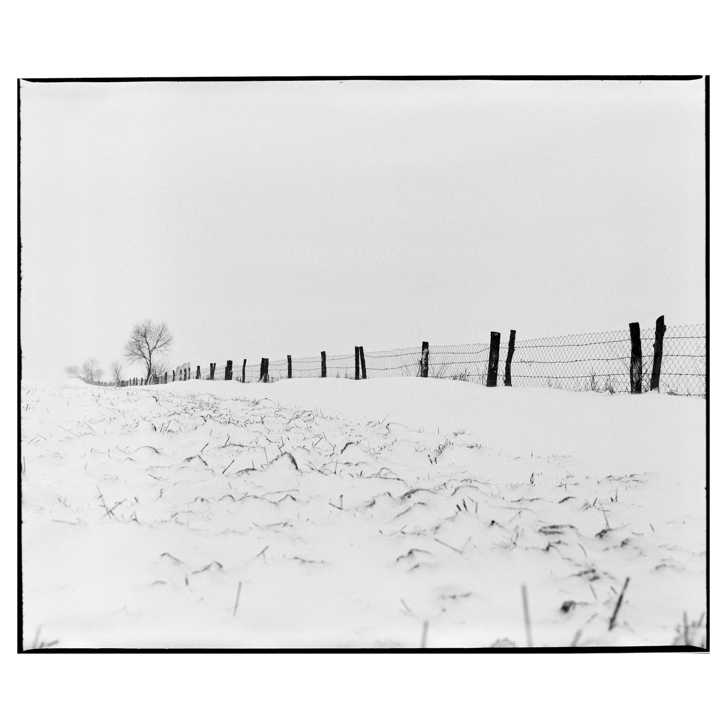 A wire fence with wooden posts stretches across a snow-covered field with bare trees in the distance.