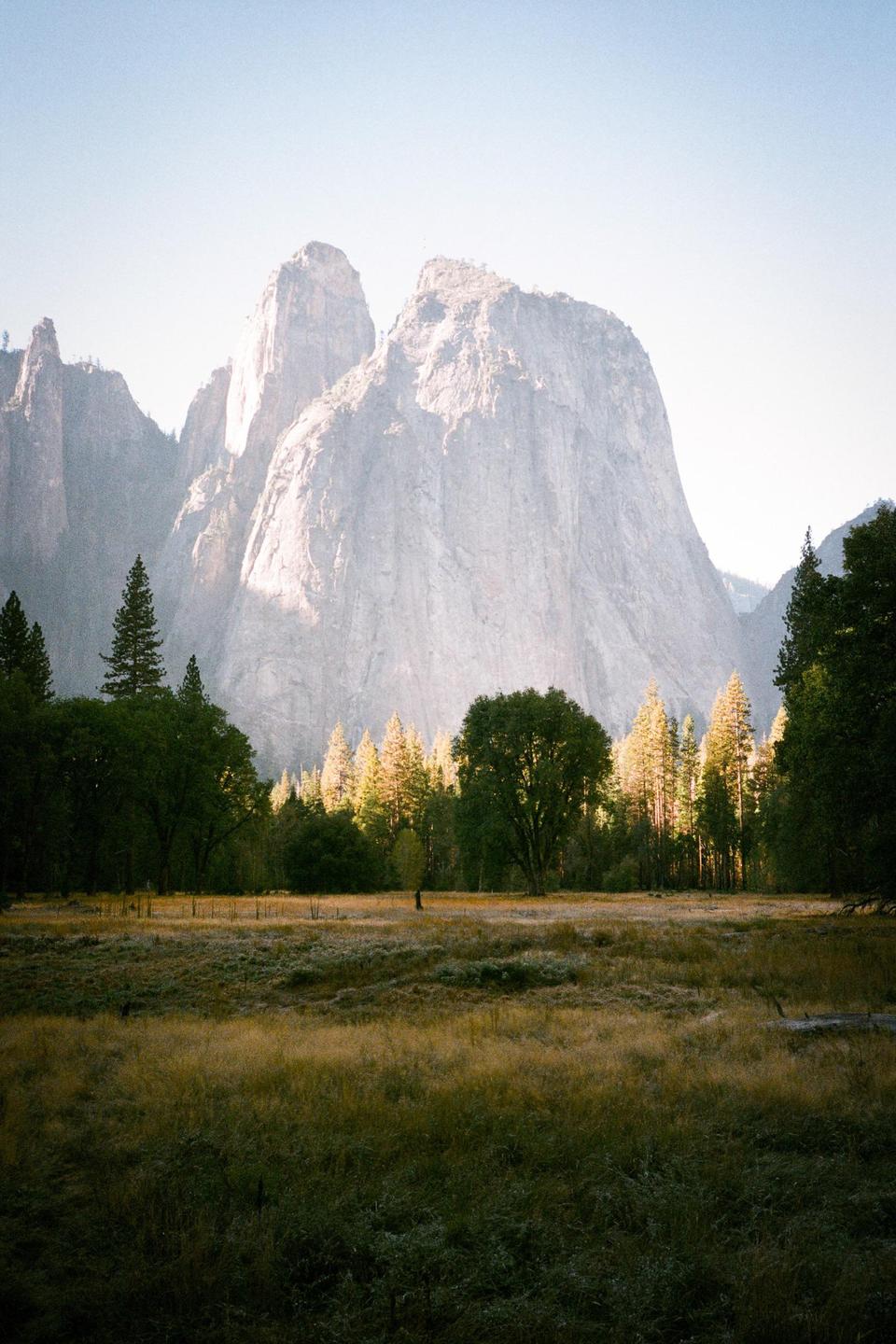 A vast meadow with trees and a large mountain in the background is illuminated by morning light.