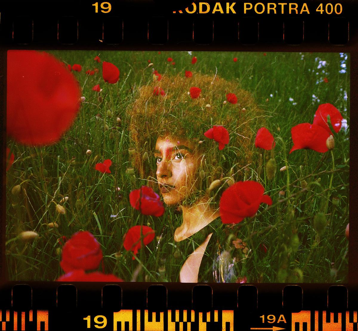 A woman's face is visible through a field of poppies and tall grass in a double exposure.