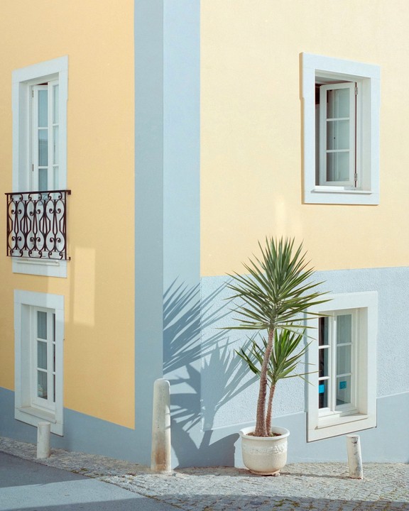 A potted plant stands on a cobblestone street next to a building with pastel yellow and blue walls and white-framed windows.