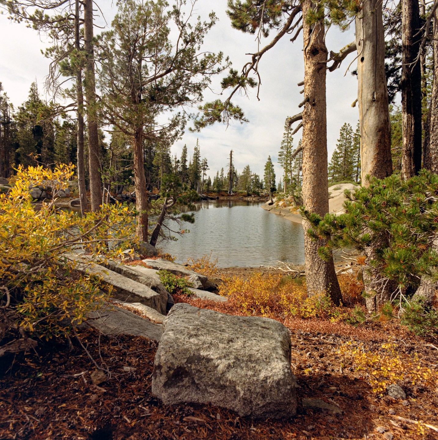 A lake is surrounded by pine trees and autumn foliage with a large rock in the foreground.
