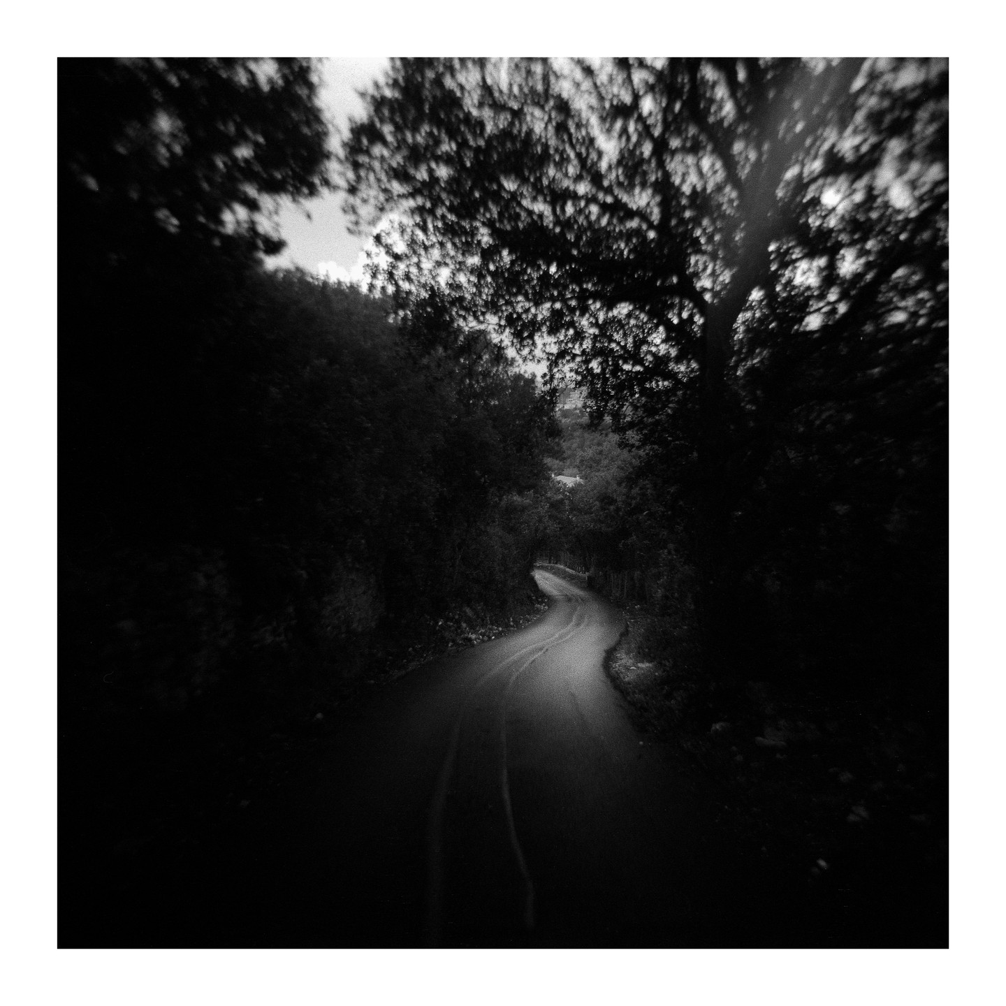 A winding road disappears into the distance, flanked by dark trees.
