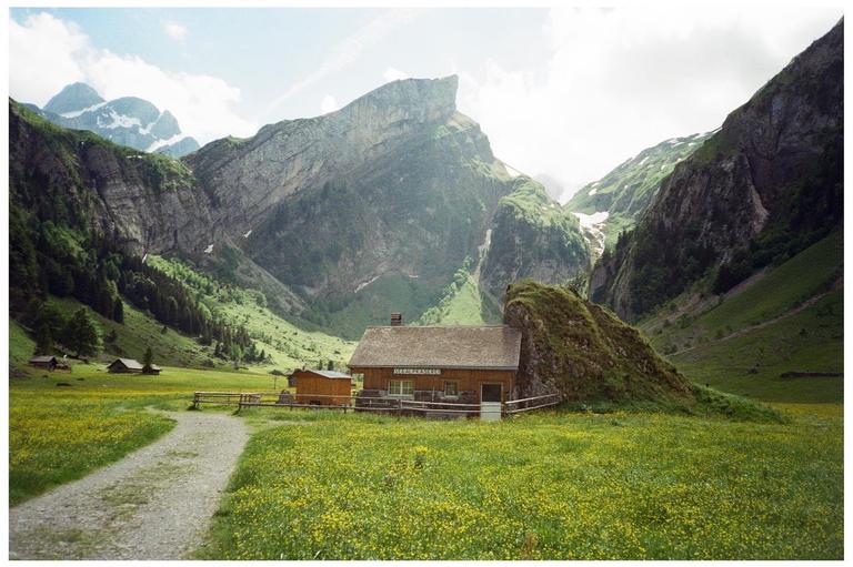 A small wooden building with a fence around it sits in a field of yellow flowers, surrounded by mountains.