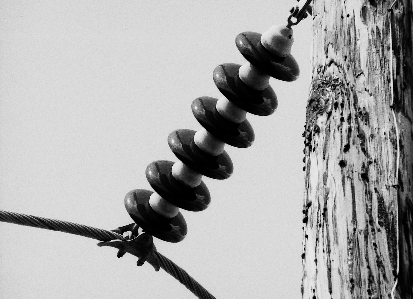 A power line insulator and a wooden utility pole are visible against a bright sky.