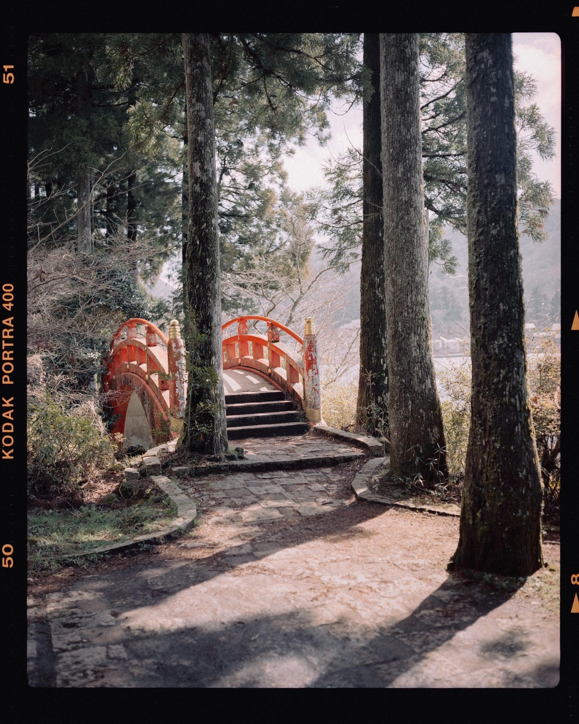 A red bridge with steps is visible through tall trees, with a path leading to it.