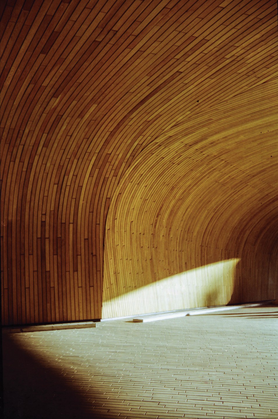Sunlight illuminates a curved wooden wall and a tiled floor in a modern building.