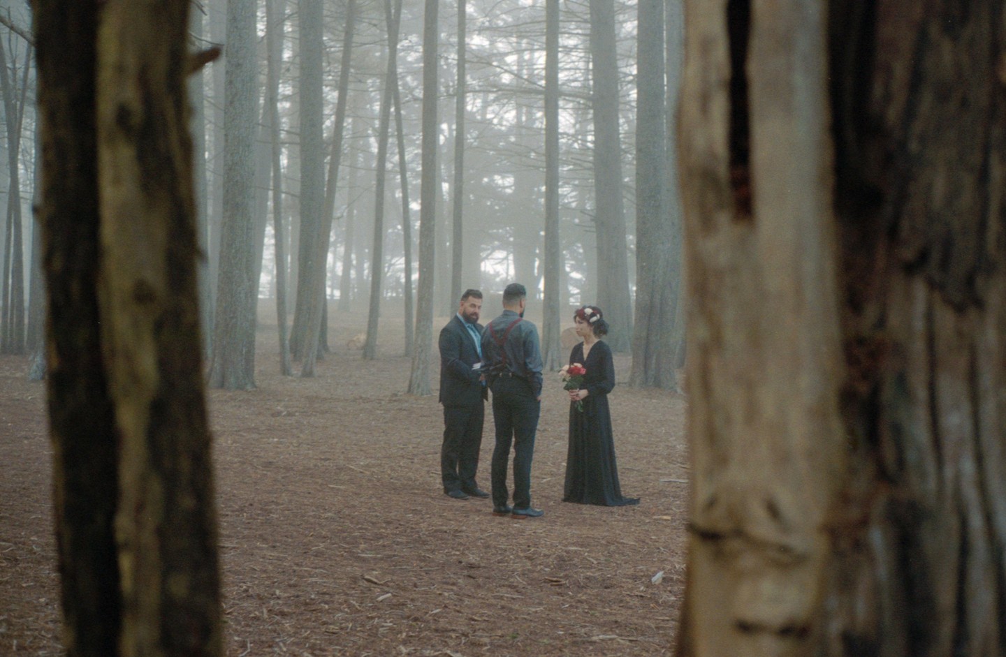 Three people stand in a foggy forest with tall trees and a ground covered in leaves.