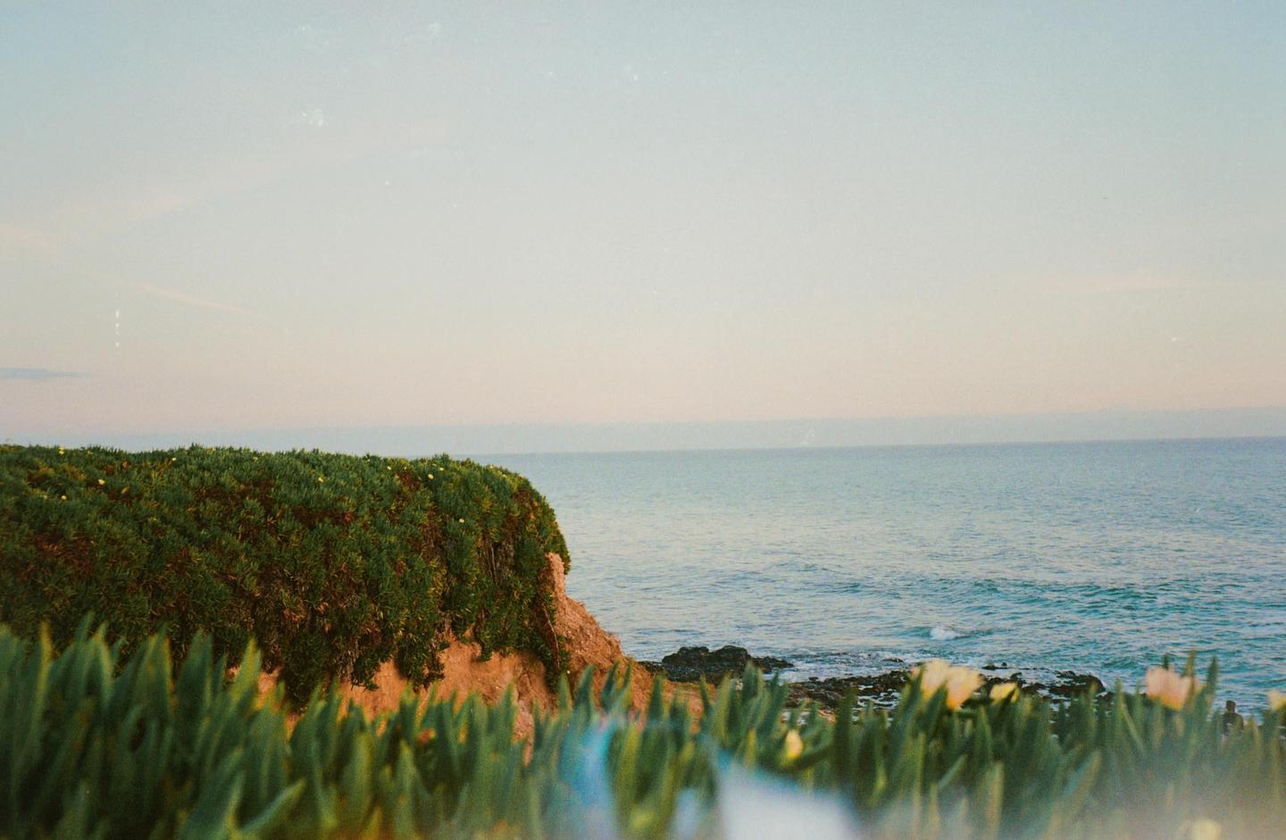 A cliff covered in green foliage overlooks the ocean under a pale sky.
