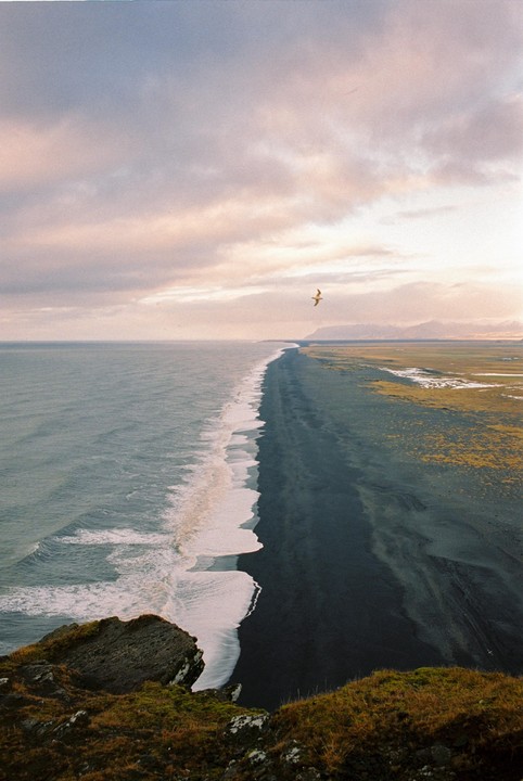 A bird flies over a black sand beach next to the ocean under a cloudy sky.