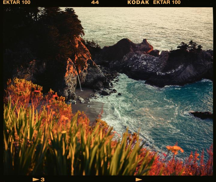 A waterfall cascades onto a beach where waves crash against the shore, viewed from a cliff with vibrant foliage in the foreground.