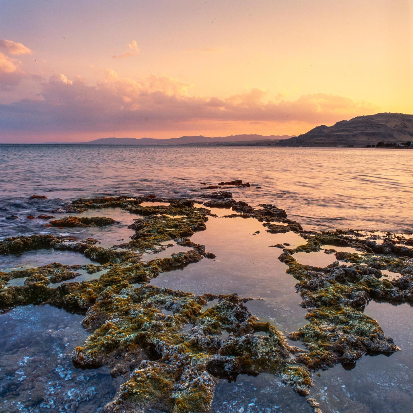 A rocky coastline with tide pools is visible at sunset, with mountains in the distance.