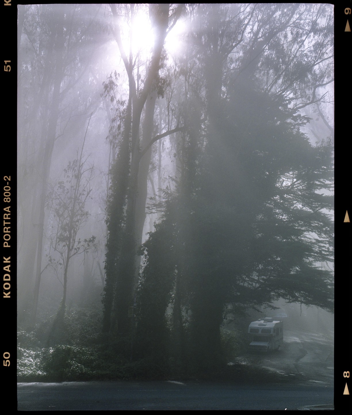 A motorhome is parked on a road surrounded by trees and fog, with bright light shining through the mist.