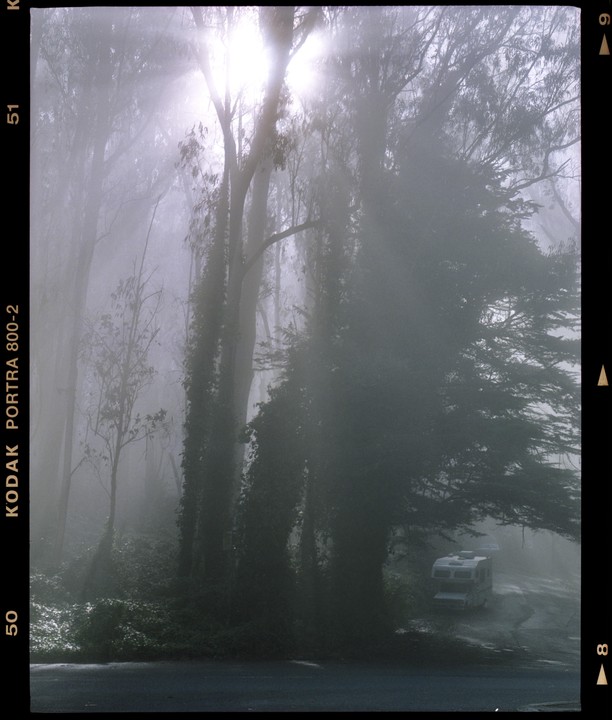 A motorhome is parked on a road surrounded by trees and fog, with bright light shining through the mist.