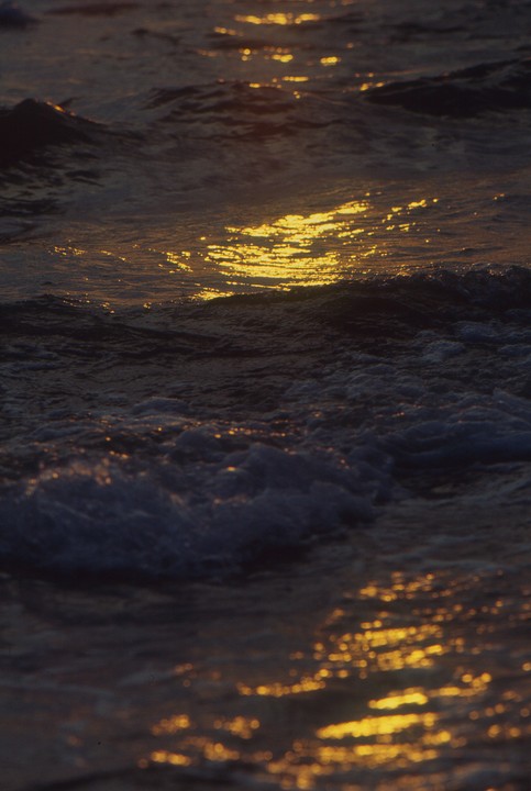 Golden light reflects on the surface of dark water with small waves.