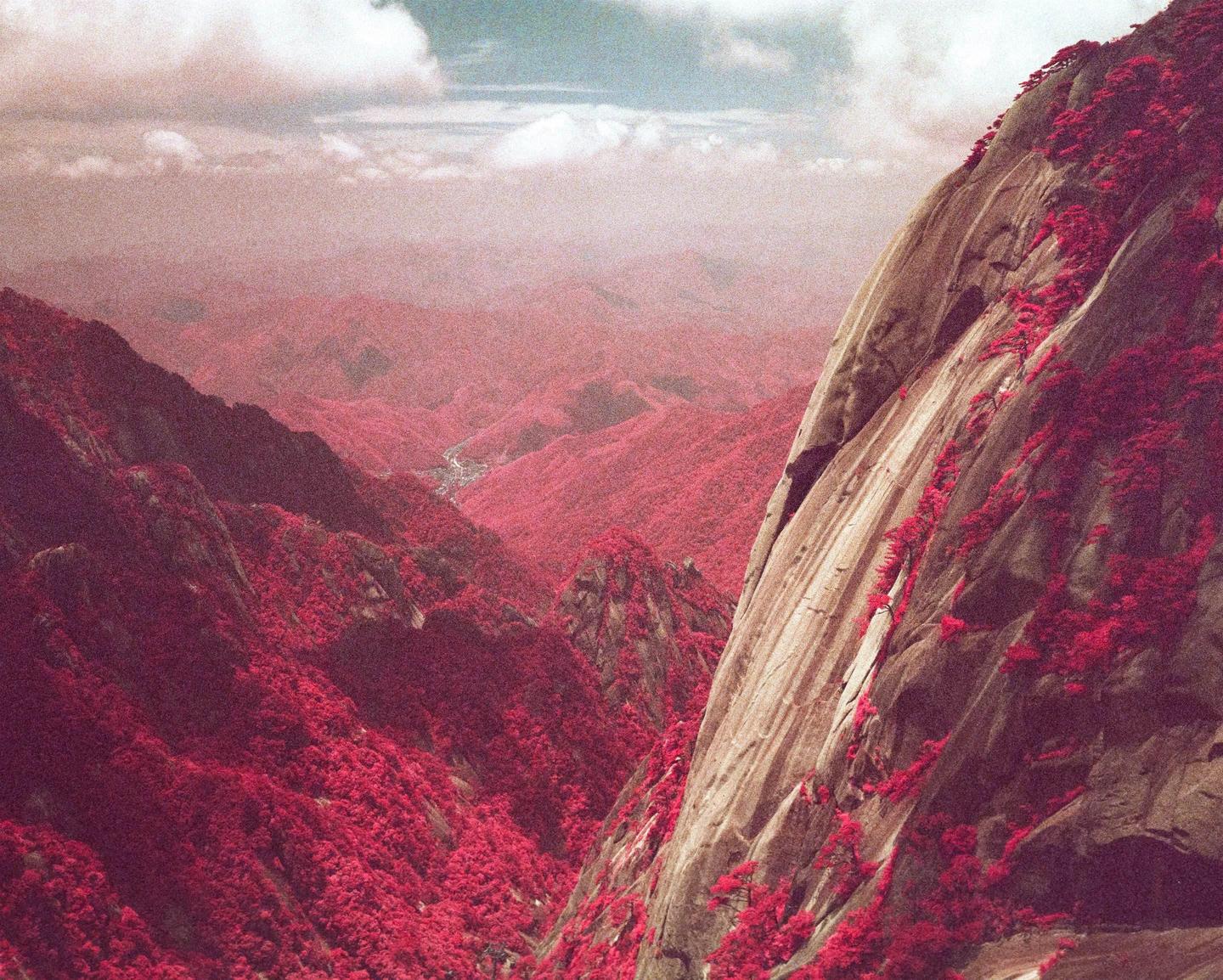 A mountain landscape is covered in vibrant red foliage under a cloudy sky.