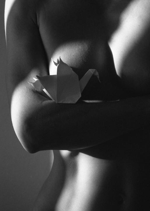 A paper crane rests on a woman's arm, with her torso visible in shadow.