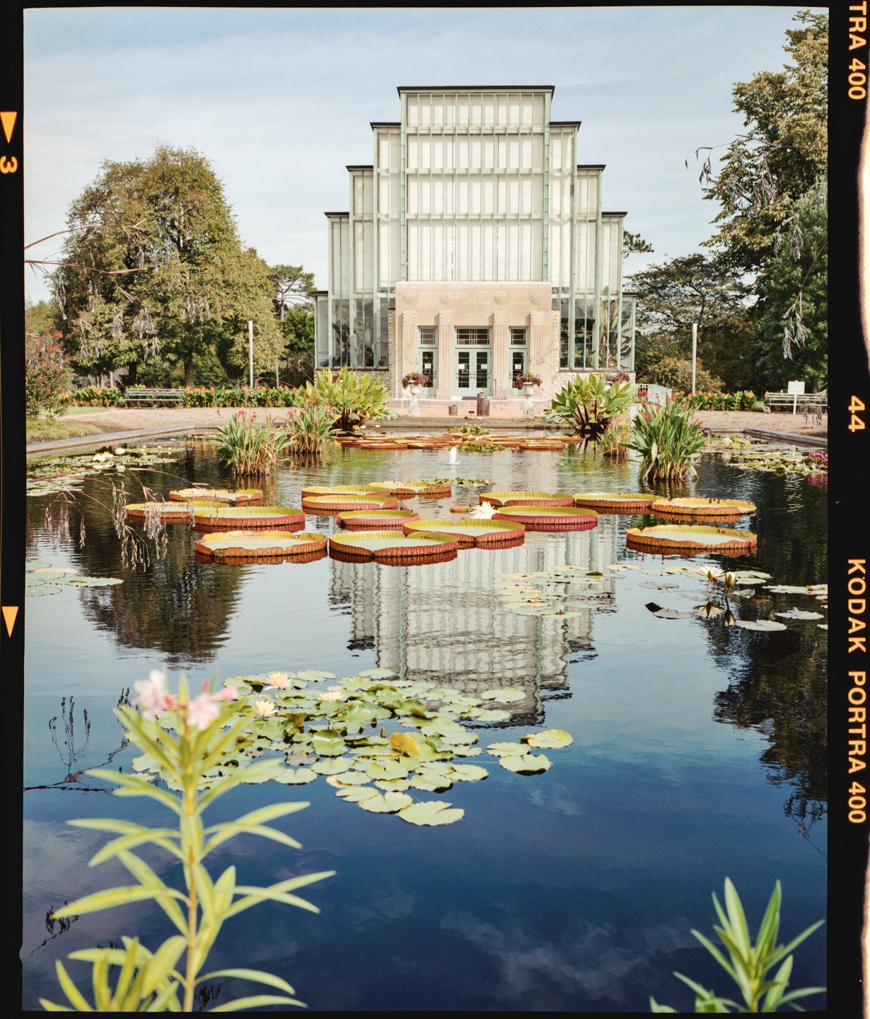 A large glass building with a tiered roof is reflected in a pond filled with lily pads and water lilies.