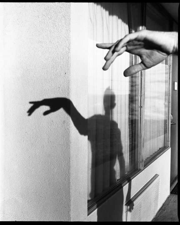 A hand and two shadows are visible on a wall and window.