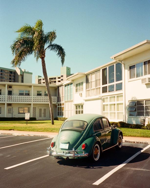 A green volkswagen beetle is parked in a parking lot next to a palm tree and white buildings.