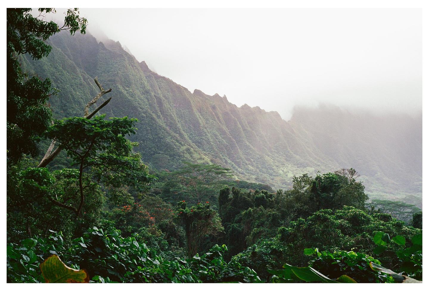 A lush green mountain range is partially obscured by fog and clouds.