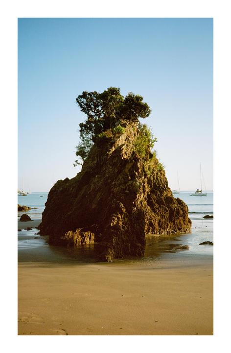 A large rock with a tree on top sits on a sandy beach with boats in the water in the background.