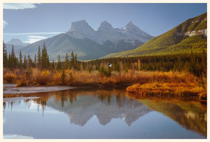 A bird flies over a body of water reflecting mountains and autumn foliage.