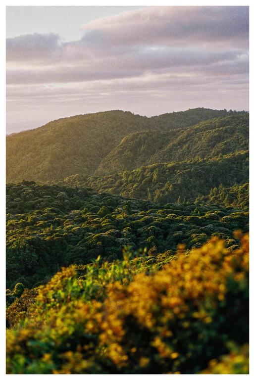 A landscape view shows rolling hills covered in dense green foliage under a cloudy sky.