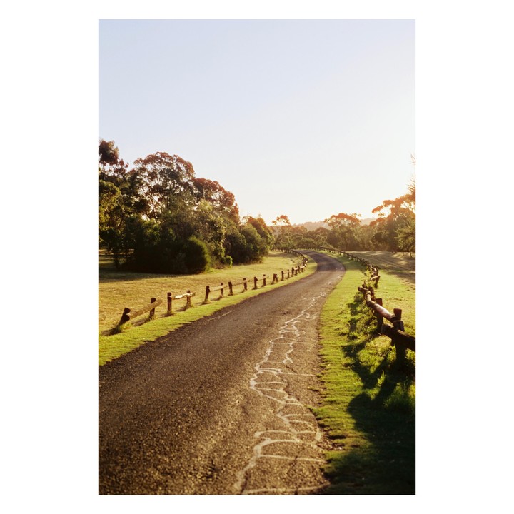 A winding road with a wooden fence on either side leads through a grassy field with trees under a bright sky.