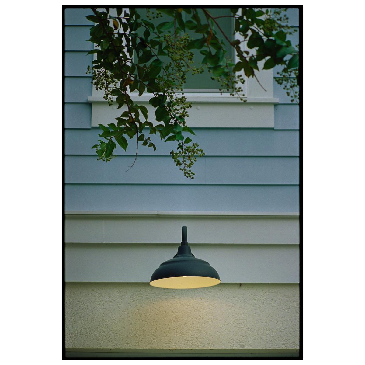 A dark outdoor light fixture illuminates a textured wall below a window and blue siding, with green foliage hanging from above.