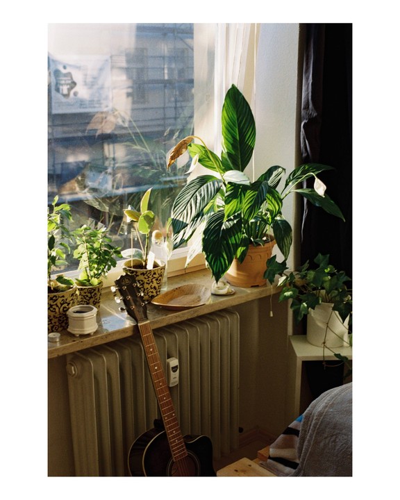 A guitar leans against a radiator below a window with several potted plants on the sill.