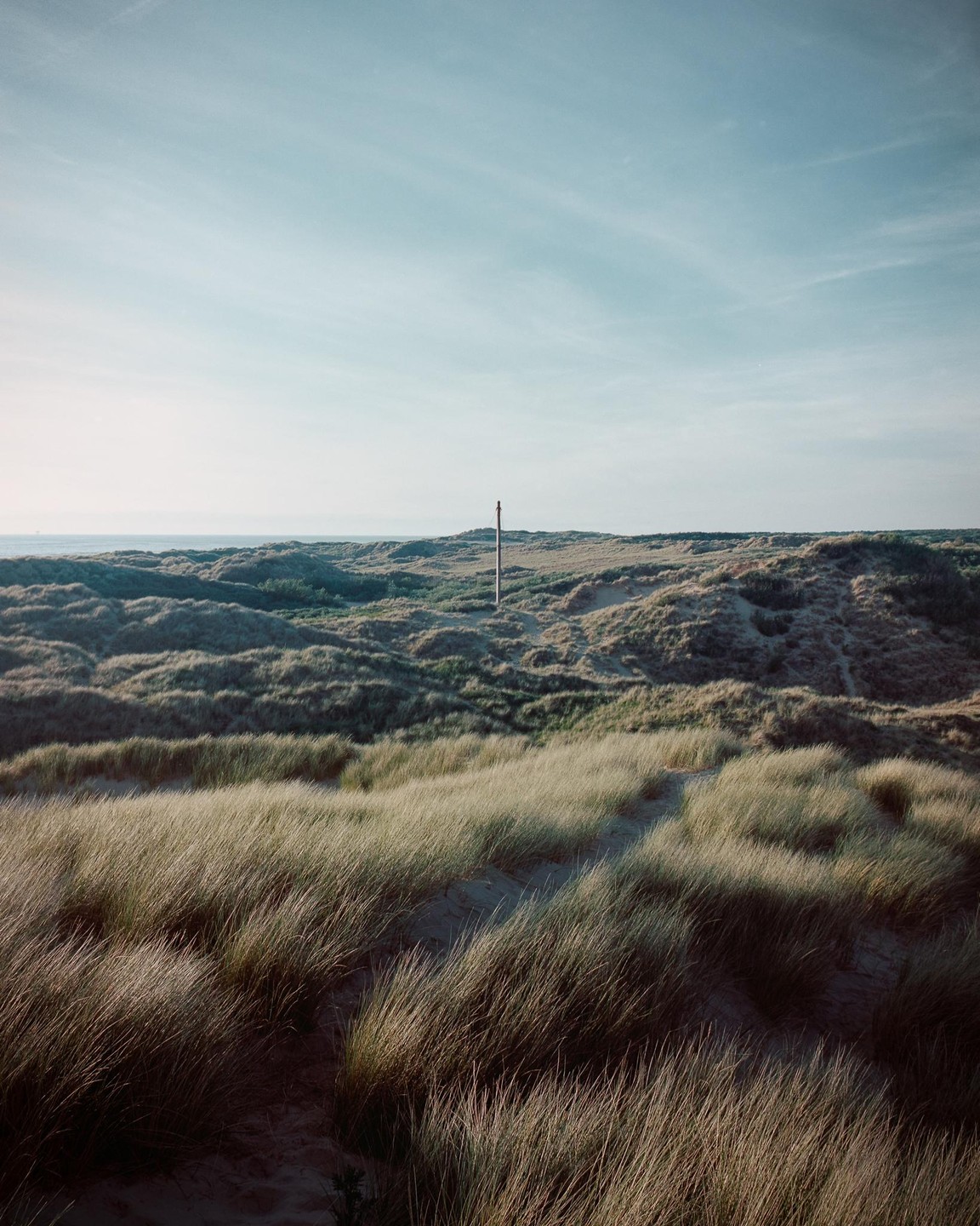 A vast expanse of grassy dunes stretches towards the sea under a clear sky.