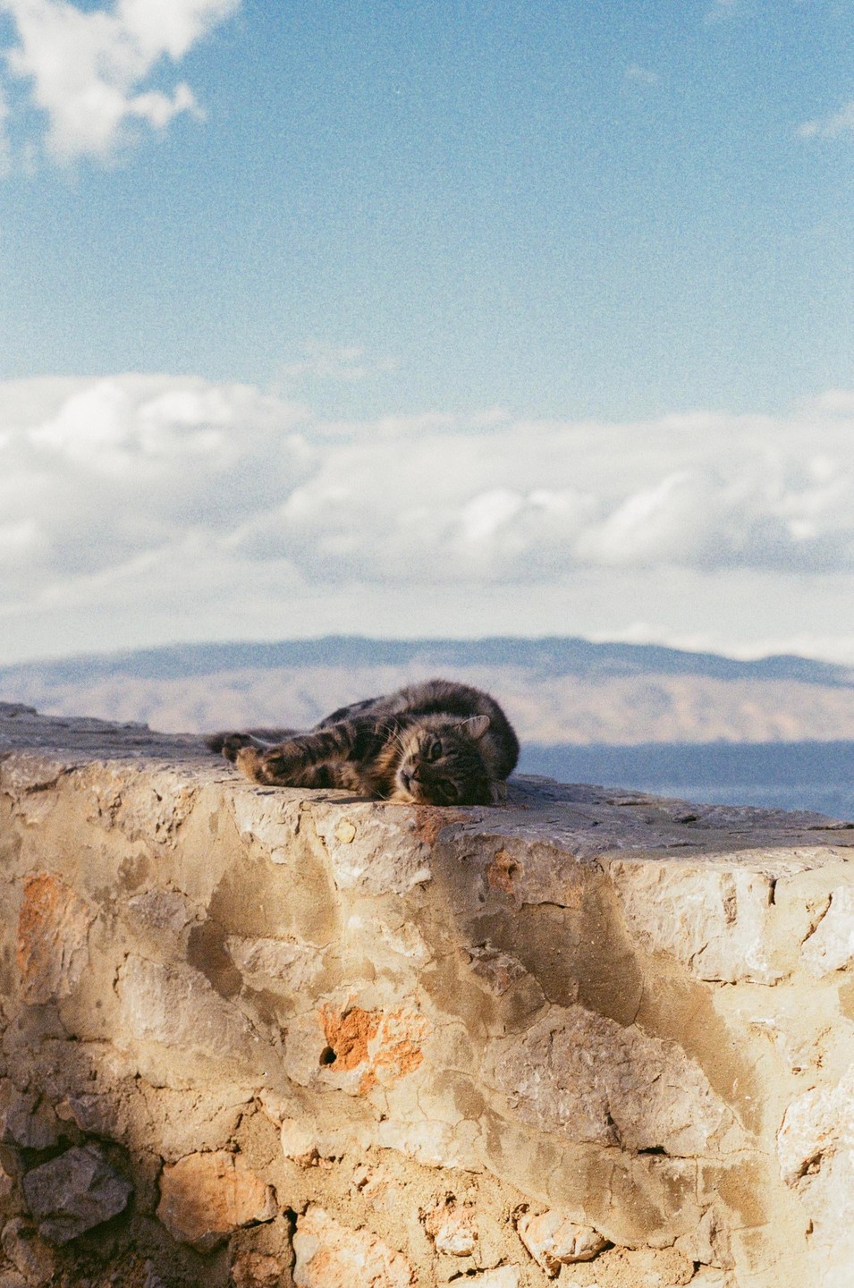 A cat rests on a stone wall with mountains and a cloudy sky in the background.