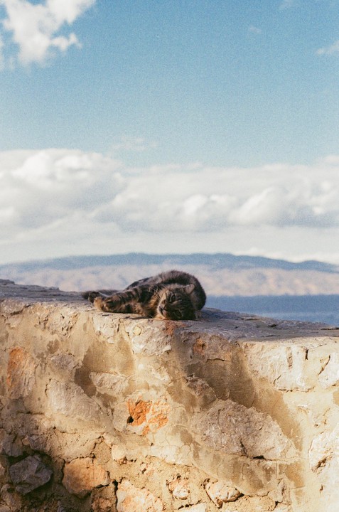 A cat rests on a stone wall with mountains and a cloudy sky in the background.