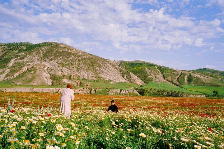 Two people are in a field of white and red flowers with green mountains in the background under a blue sky with white clouds.