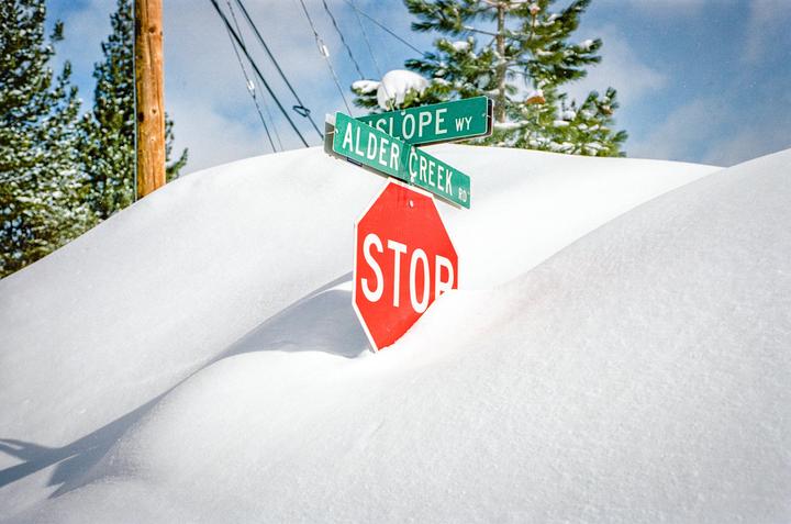 A stop sign and two street signs are almost completely buried in deep snow, with pine trees and a utility pole visible in the background.