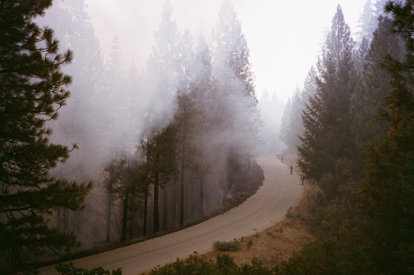 A winding road passes through a forest filled with smoke and haze, with several people visible along the road.